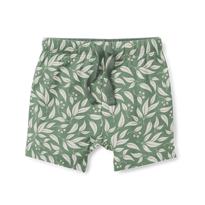 Shorts - Willow Leaf Green